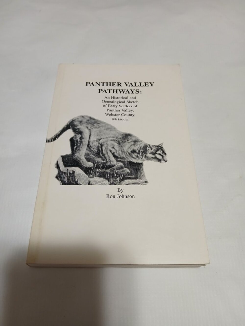 Panther Valley Pathways: Historical and Genealogical Sketch of Settlers Missouri